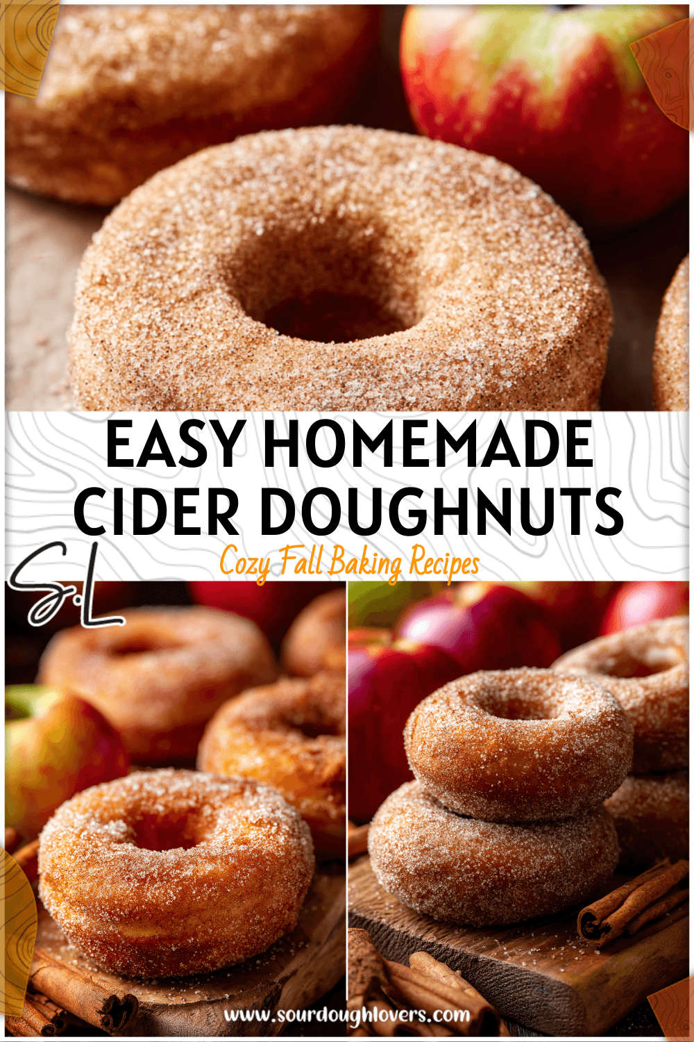 Freshly baked Homemade Cider Doughnuts dusted with sugar beside apples and cinnamon sticks.